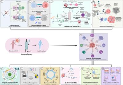 Editorial: Immune infiltration and immunotherapy in cancer studies